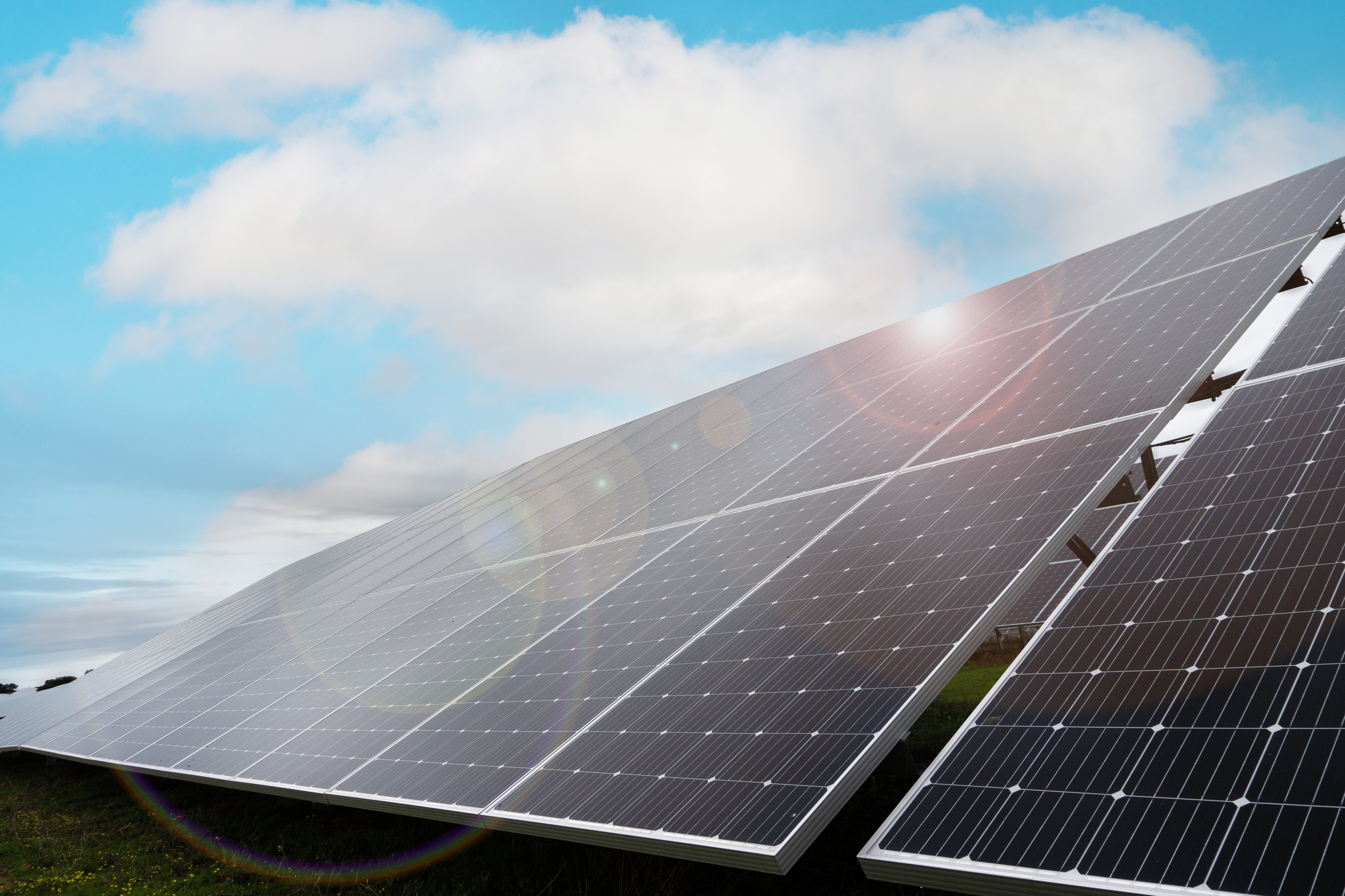 Solar Feasibility Study: Is Solar Right for Your Business?